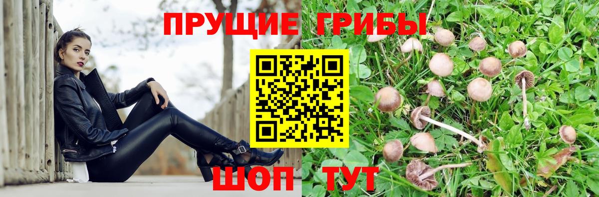 Галлюциногенные грибы MAGIC MUSHROOMS Оренбург